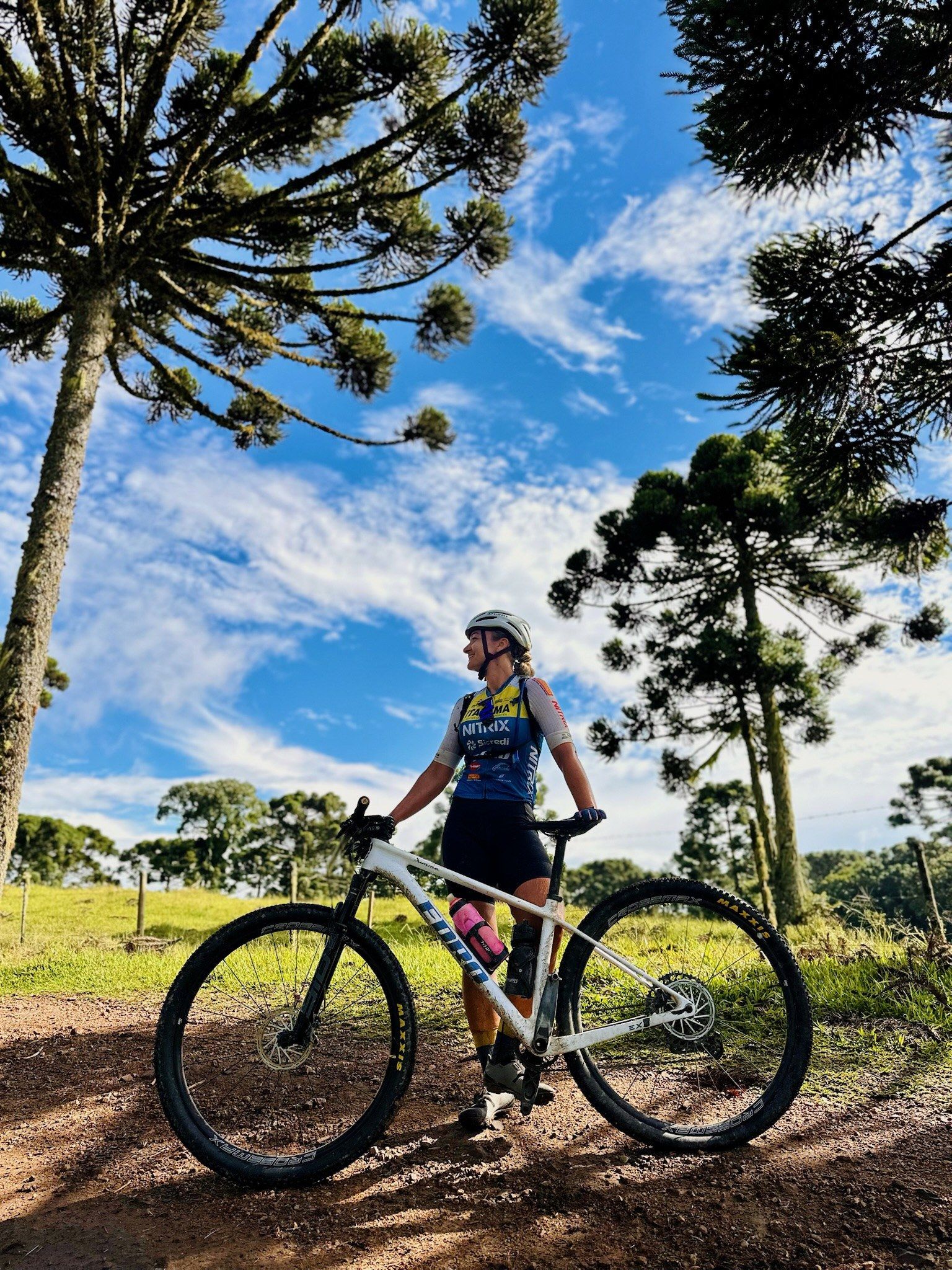 Ciclista com a sua EDRO entre araucárias, céu azul